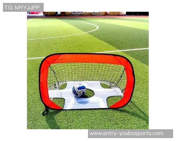 足球门的网站全面解析足球爱好者的最佳选择与使用指南